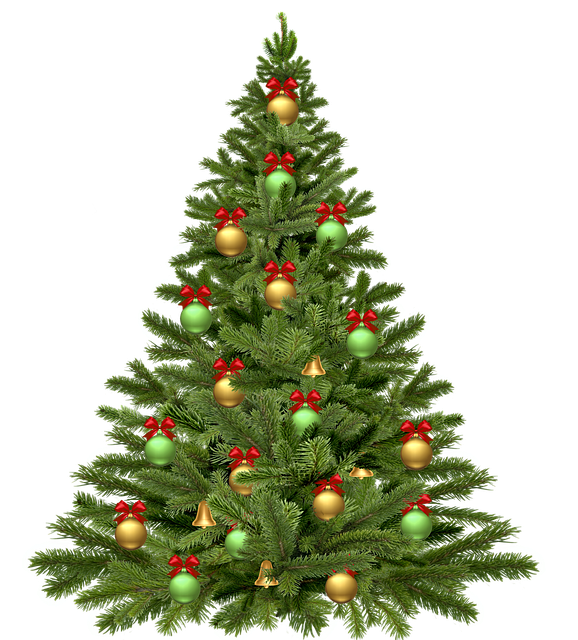christmas-tree-1808558_640