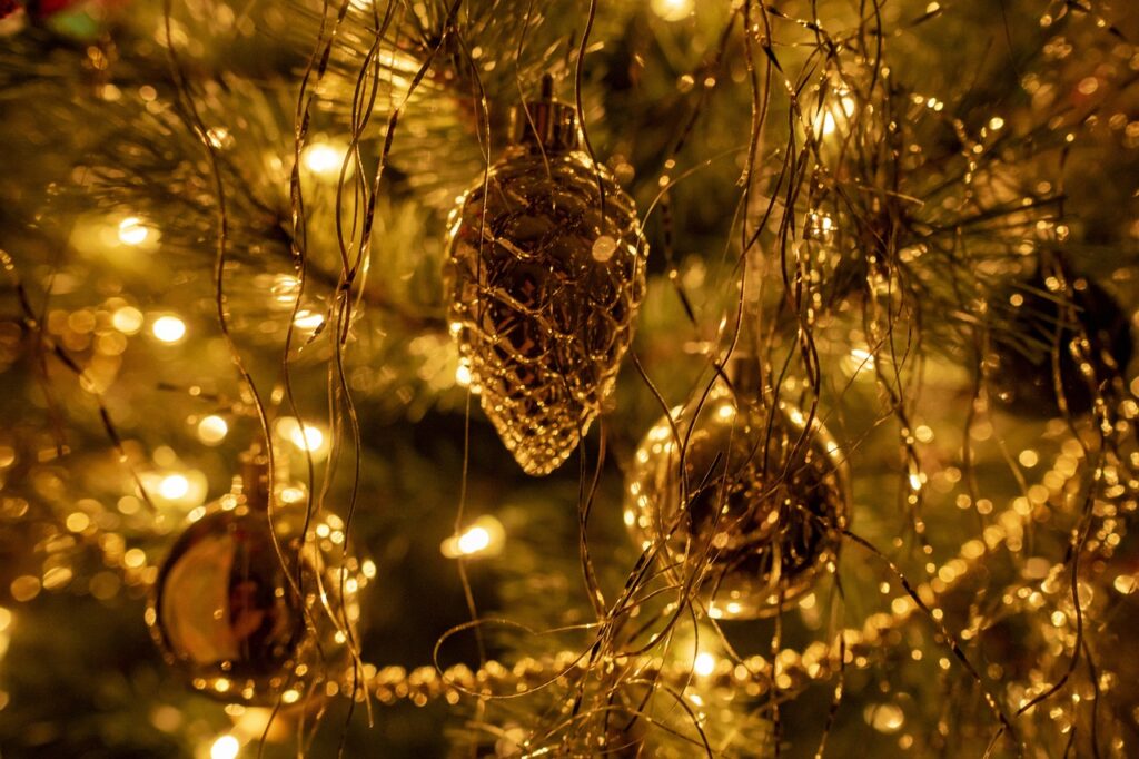 christmas-tree-6924746_1280